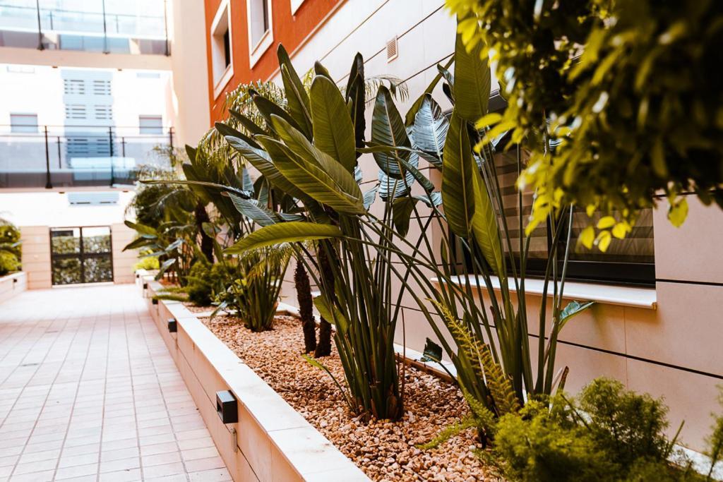 Sol Denia Apartment Екстериор снимка